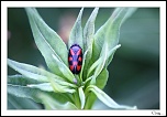 -img_1836.jpg