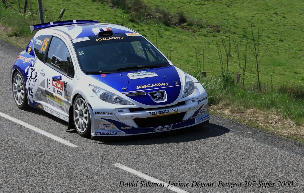 -8-peugeot-207.jpg