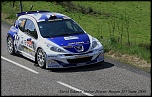 -8-peugeot-207.jpg