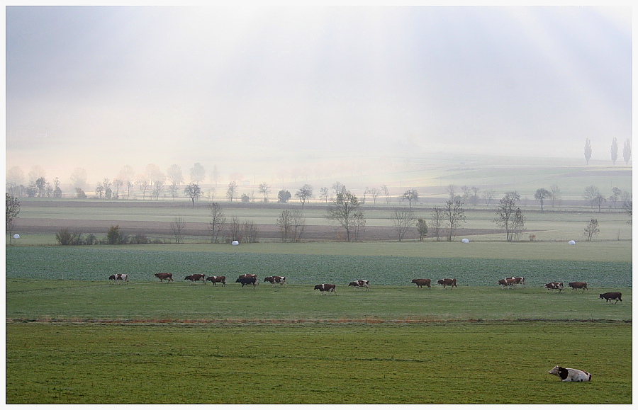 Petit matin au Val-de-Ruz
19.10.08
