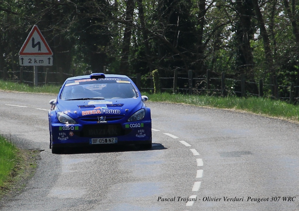 -6-peugeot-wrc.jpg