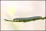 -img_5122000.jpg