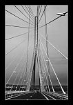 Retour ....-pont-de-normandie-02.jpg