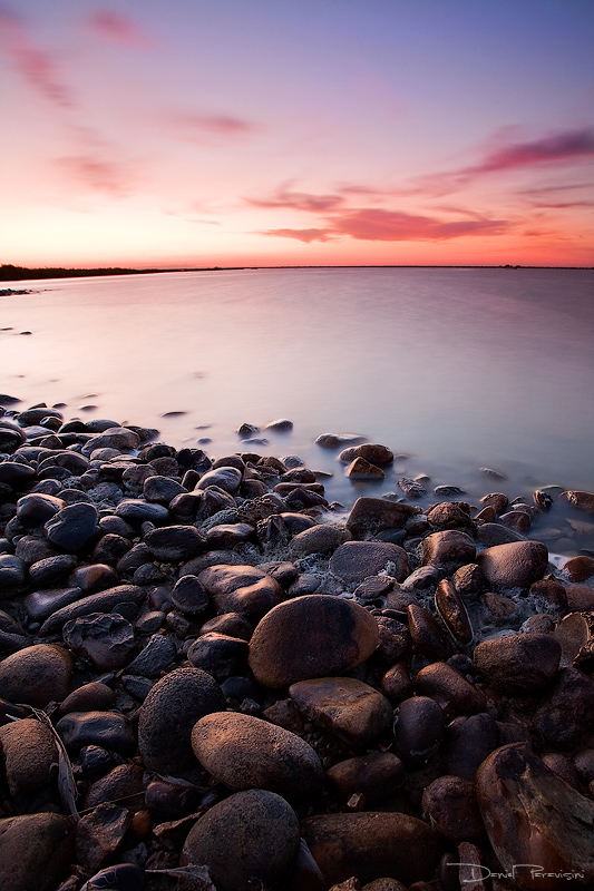 Le Fangassier (Camargue)