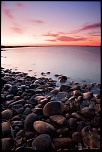 Le Fangassier (Camargue)