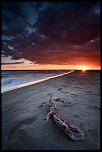 Le Bois Flott (Camargue)