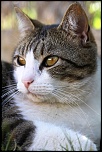 -img_0053.jpg