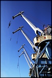 comment signer ses photos...-img_0979.jpg
