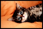 comment signer ses photos...-img_0090.jpg