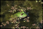 comment signer ses photos...-2010_07_18_1314.jpg