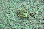 comment signer ses photos...-2010_07_18_1370.jpg