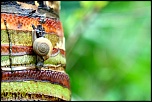 comment signer ses photos...-img_1300.jpg