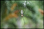 comment signer ses photos...-img_1219.jpg