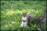 comment signer ses photos...-img_0837.jpg