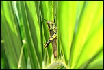comment signer ses photos...-img_2611.jpg