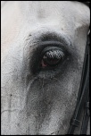 Nouveau sur le site mais ancien photographe &#33;-img_2381.jpg