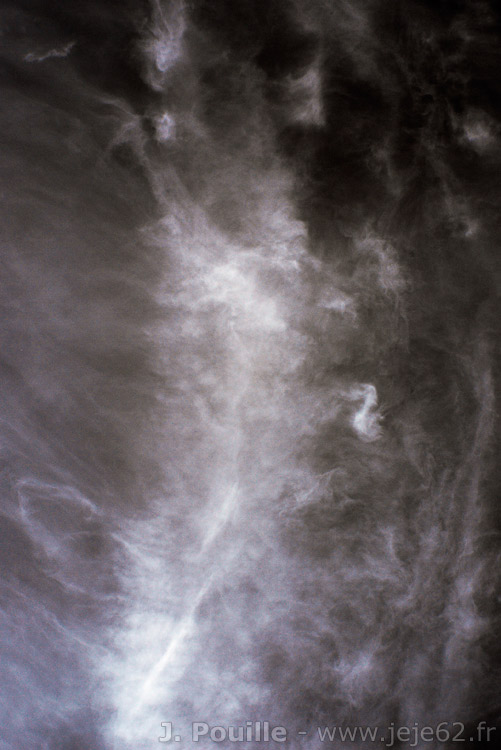 Choix de sacs-110511-173256.jpg