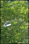 Nouveau sur le site mais ancien photographe &#33;-img_4159.jpg