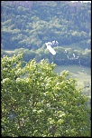 Nouveau sur le site mais ancien photographe &#33;-img_4146.jpg
