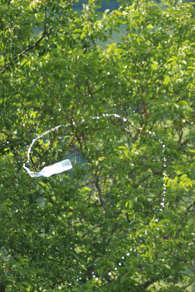 Nouveau sur le site mais ancien photographe &#33;-img_4161.jpg