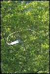 Nouveau sur le site mais ancien photographe &#33;-img_4161.jpg