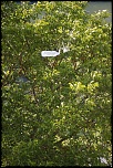 Nouveau sur le site mais ancien photographe &#33;-img_4173.jpg