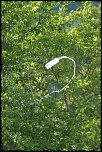 Nouveau sur le site mais ancien photographe &#33;-img_4160.jpg