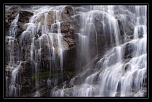 trepied?-_mg_1763.jpg