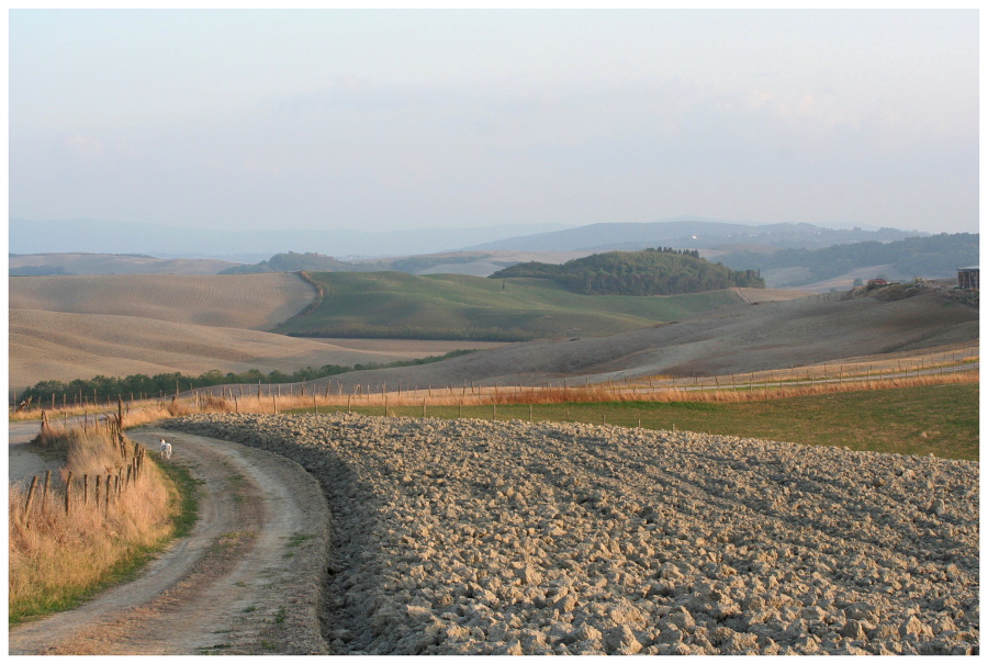 Terre de Sienne
2007
