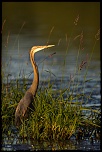 -25052011-cv6q9811.jpg