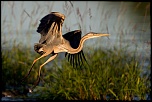 -25052011-cv6q9806.jpg