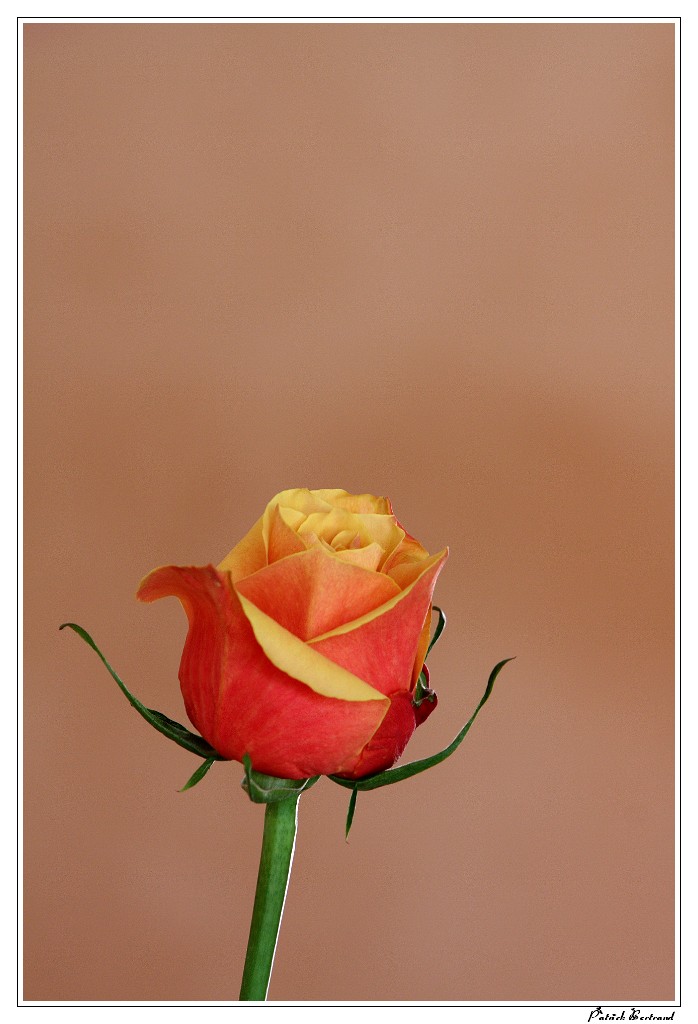 CAPTURE ONE PRO-1269.jpg