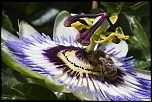 -img_2104-4.jpg