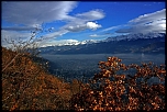 Bonjour a tous &#33;-1273.jpg