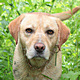Avatar de 18471 Avatar de 18471