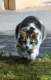 Avatar de Anne-Lise