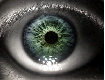 Avatar de Baylyns