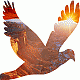 Avatar de Canyon