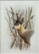 Avatar de didier87140