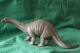 Avatar de diplodocus
