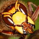 Avatar de DomDom_one Avatar de DomDom_one