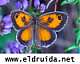 Avatar de eldruida Avatar de eldruida