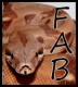 Avatar de Fabeleven