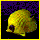 Avatar de fbonnet