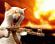 Avatar de flash84