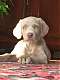 Avatar de Floyd1998