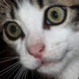 Avatar de franck31000 Avatar de franck31000