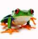 Avatar de Frenchfrog