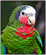 Avatar de grincheux21 Avatar de grincheux21