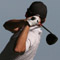 Avatar de isogood Avatar de isogood